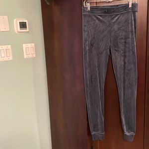 American Eagle Outfitters Gray Velvet Pants